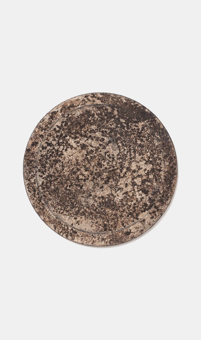 Plate III by Louis Vincent seen from above, a flat speckled disc with a faint inner ring