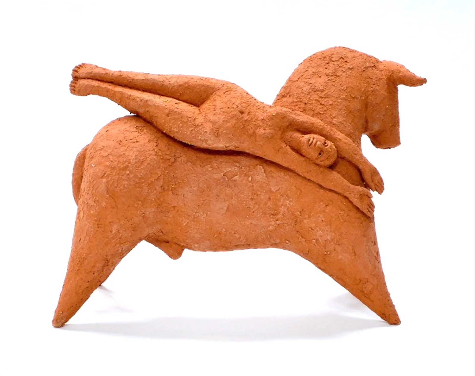Bull's Matter by Zahed Tajeddin